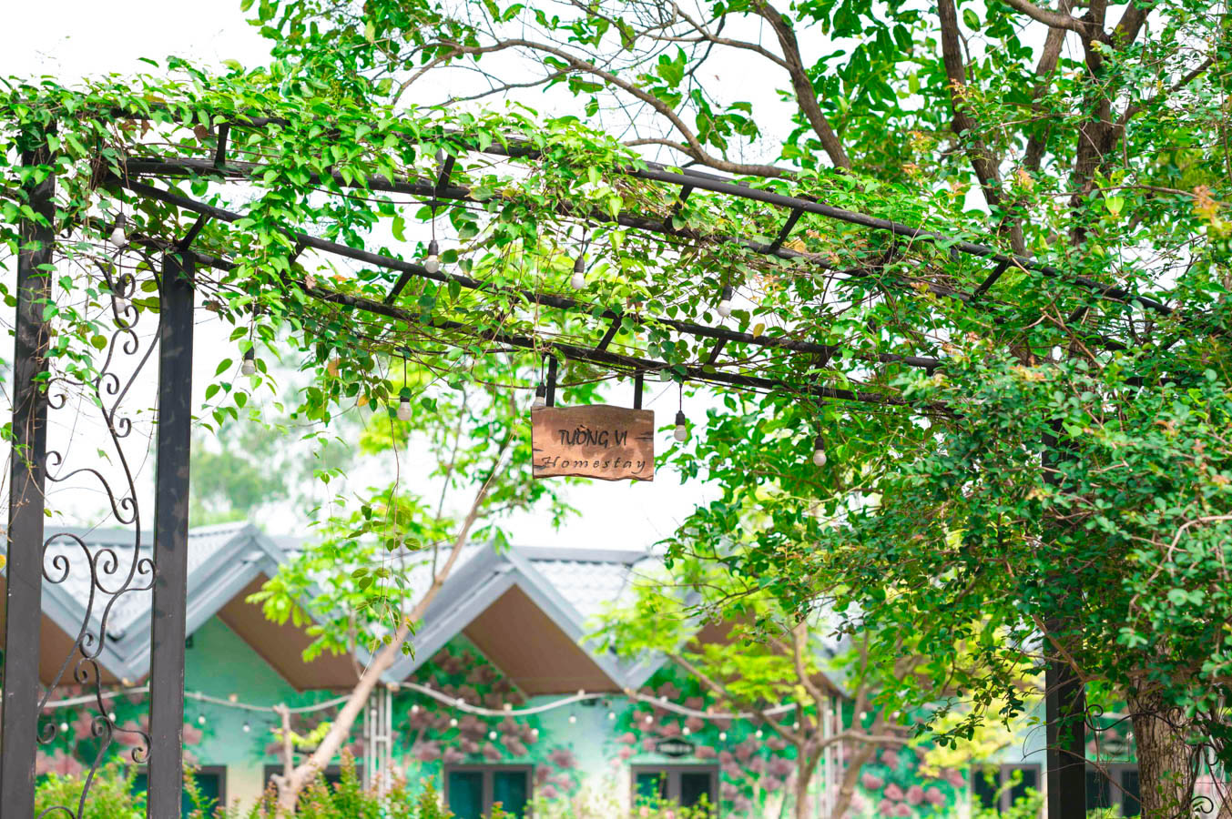 Dorm Tường Vi